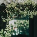 resized_113348